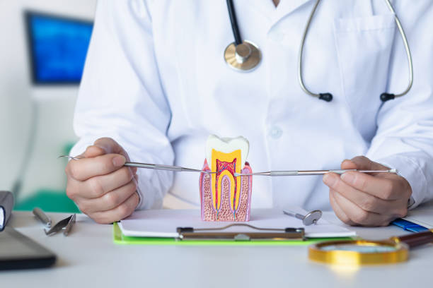 Best Emergency Root Canal Treatment in Wallace, FL